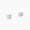 Pendientes Solitario Oro Rosa Seis Garras Plata de Ley 925